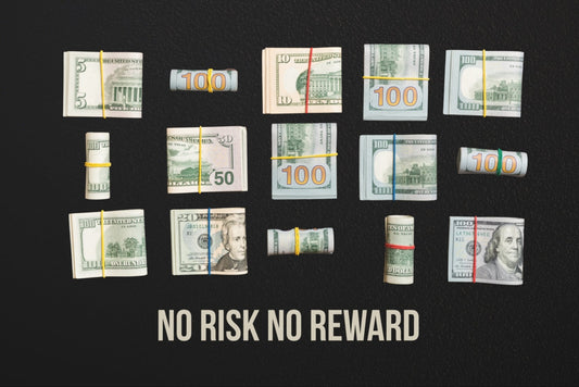 NO RISK NO REWARD Money Wall Art
